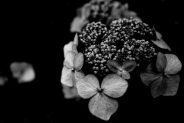 Stefan Guggenbichler .art