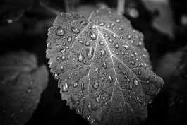 Stefan Guggenbichler .art