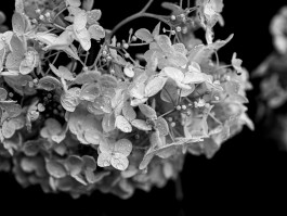 Stefan Guggenbichler .art