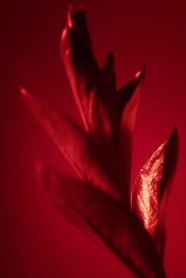 Stefan Guggenbichler .art