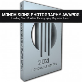 Stefan Guggenbichler .art