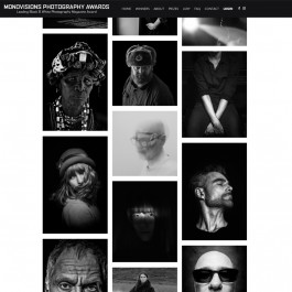 Stefan Guggenbichler .art