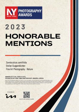 Stefan Guggenbichler .art