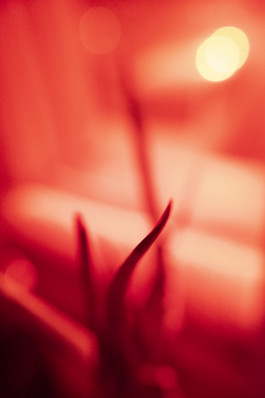 Stefan Guggenbichler .art