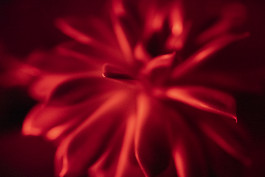 Stefan Guggenbichler .art