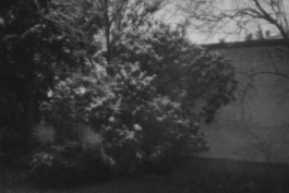 Stefan Guggenbichler .art