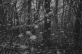 Stefan Guggenbichler .art