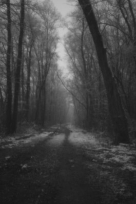 Stefan Guggenbichler .art