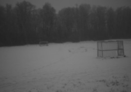 Stefan Guggenbichler .art