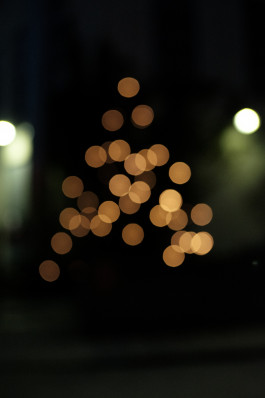 Stefan Guggenbichler .art