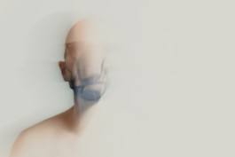 Stefan Guggenbichler .art