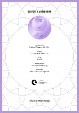 Stefan Guggenbichler .art