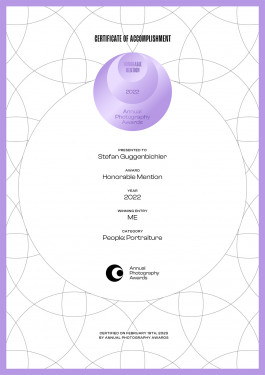 Stefan Guggenbichler .art