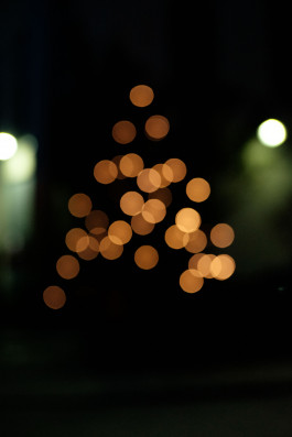 Stefan Guggenbichler .art