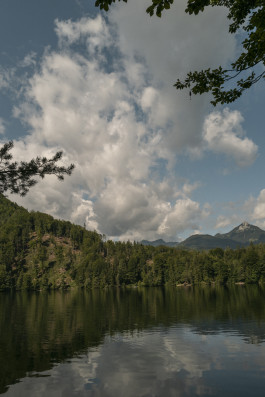 Stefan Guggenbichler .art