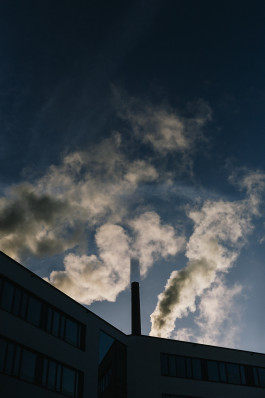 Stefan Guggenbichler .art