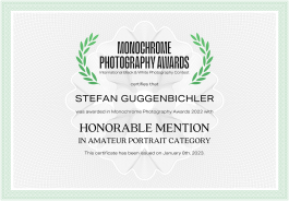 Stefan Guggenbichler .art