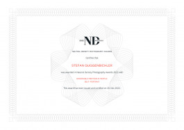 Stefan Guggenbichler .art