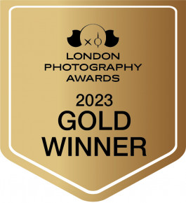 Stefan Guggenbichler .art