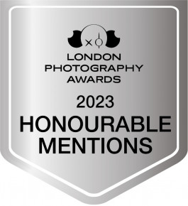 Stefan Guggenbichler .art