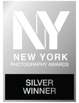 Stefan Guggenbichler .art