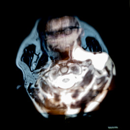 Stefan Guggenbichler .art