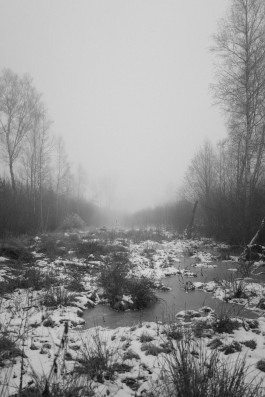 Stefan Guggenbichler .art