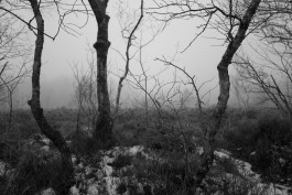 Stefan Guggenbichler .art