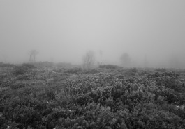 Stefan Guggenbichler .art