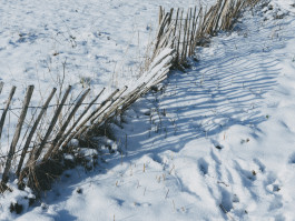 Stefan Guggenbichler .art