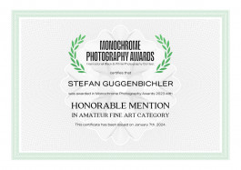 Stefan Guggenbichler .art