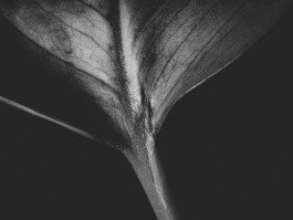 Stefan Guggenbichler .art