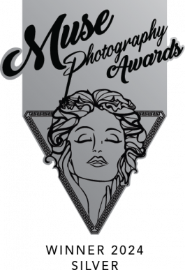 Stefan Guggenbichler .art