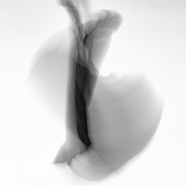 Stefan Guggenbichler .art