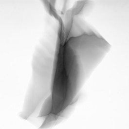 Stefan Guggenbichler .art