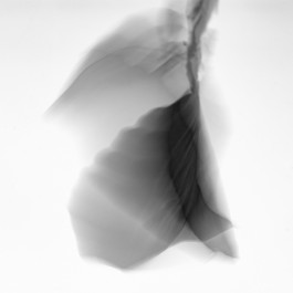 Stefan Guggenbichler .art