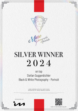 Stefan Guggenbichler .art