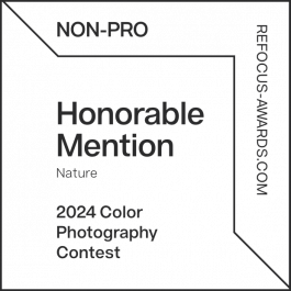 Stefan Guggenbichler .art