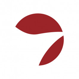 Stefan Guggenbichler  .art