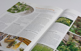 Stefan Guggenbichler  .art