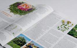 Stefan Guggenbichler  .art