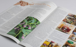 Stefan Guggenbichler  .art