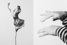 Stefan Guggenbichler .art