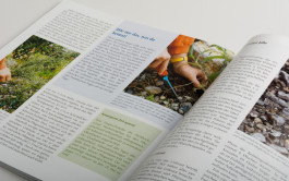 Stefan Guggenbichler  .art