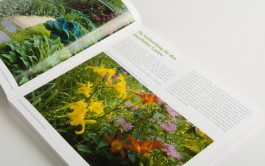 Stefan Guggenbichler  .art