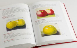 Stefan Guggenbichler  .art