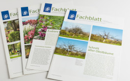 Stefan Guggenbichler  .art