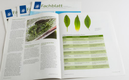 Stefan Guggenbichler  .art