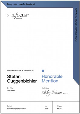 Stefan Guggenbichler .art