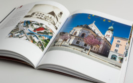 Stefan Guggenbichler  .art